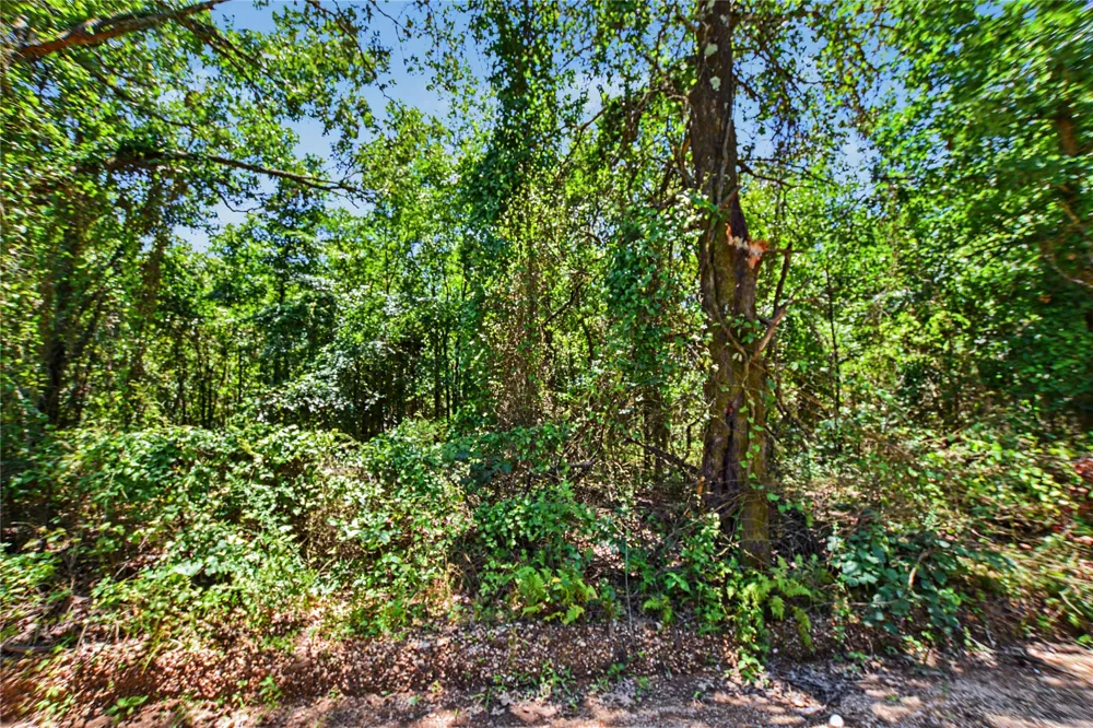 22501 E 830 ROAD Welling, OK 74471