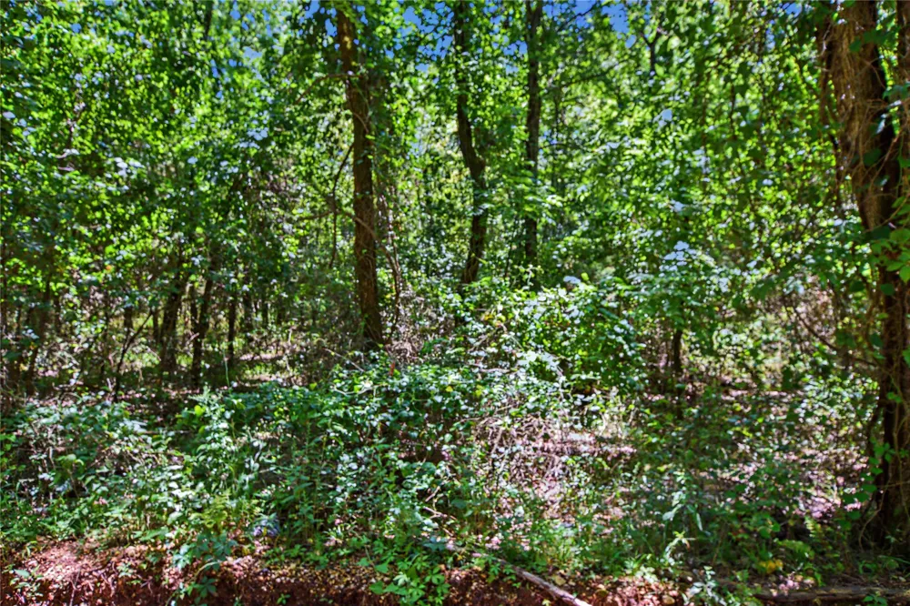 22501 E 830 ROAD Welling, OK 74471