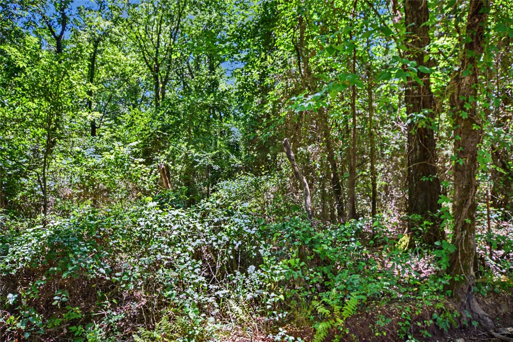 22501 E 830 ROAD Welling, OK 74471
