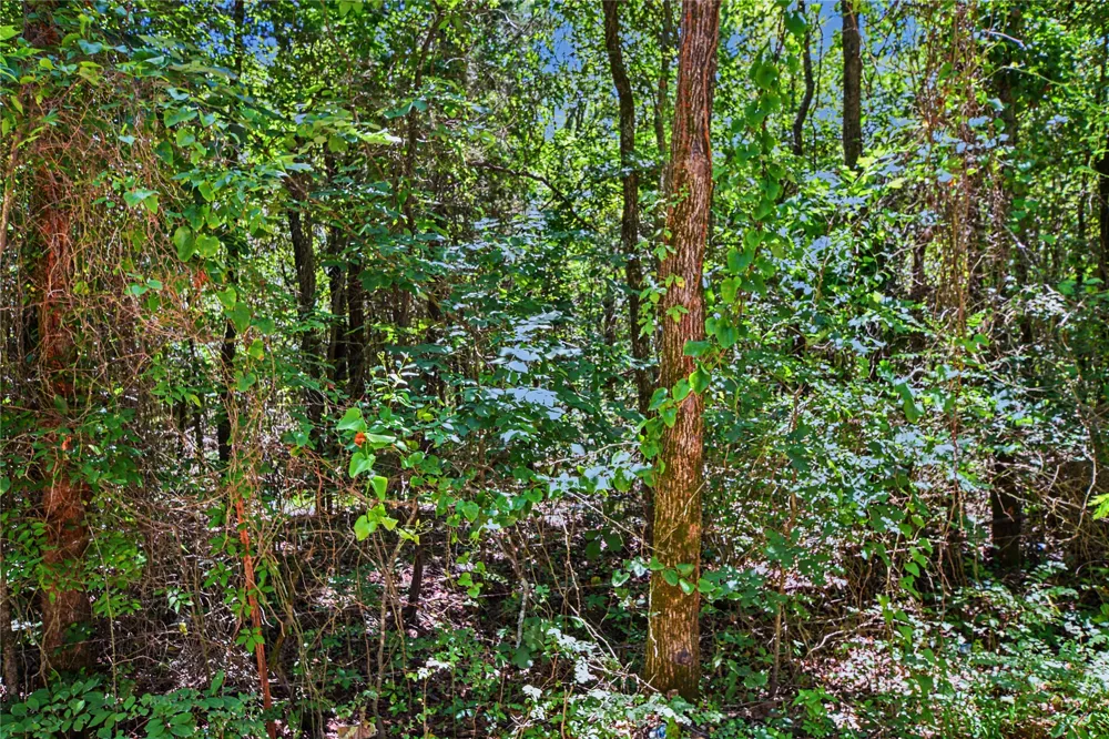 22501 E 830 ROAD Welling, OK 74471