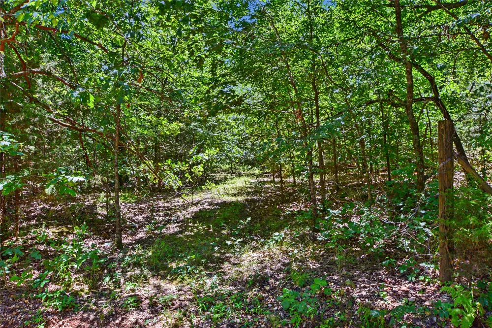 22501 E 830 ROAD Welling, OK 74471