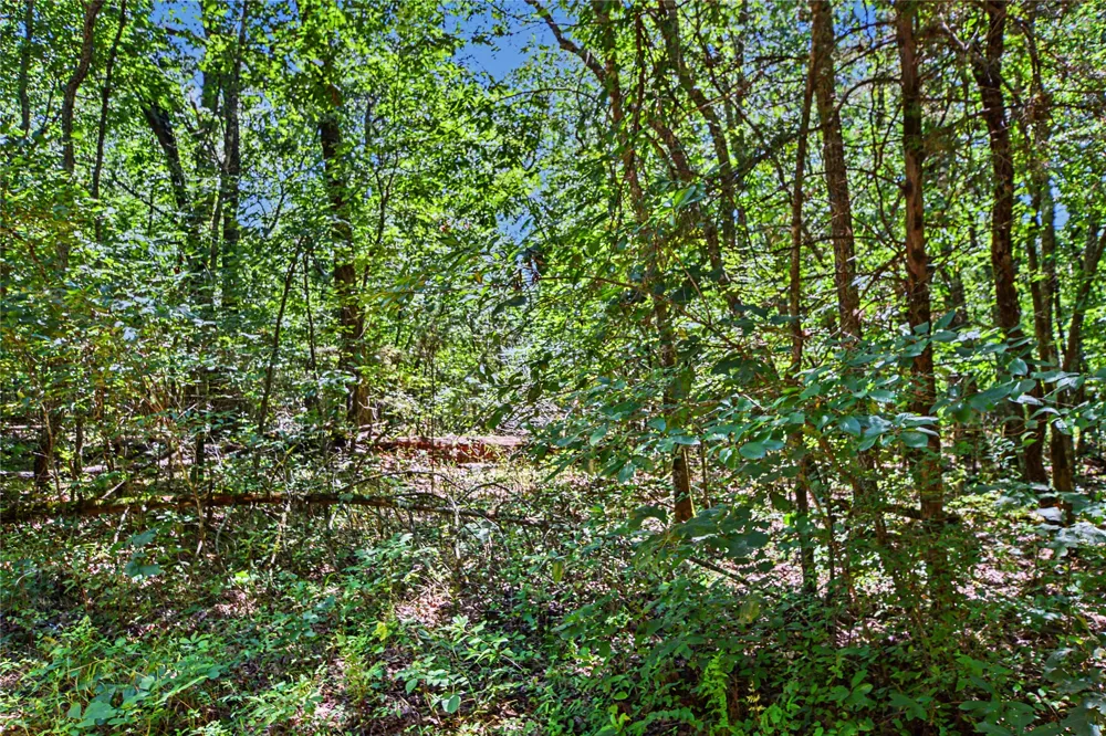 22501 E 830 ROAD Welling, OK 74471