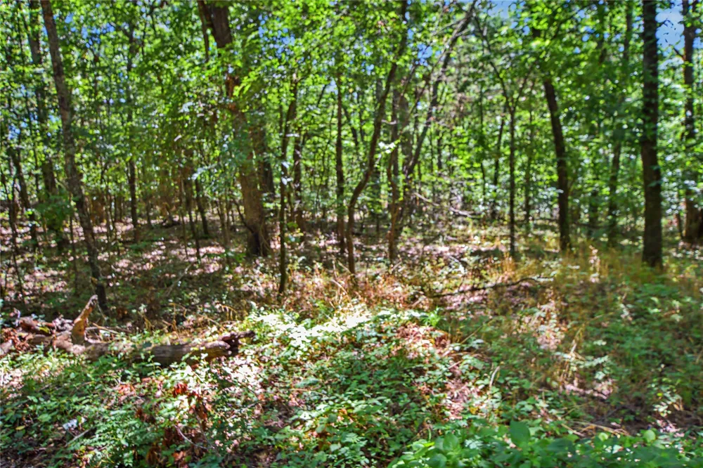 22501 E 830 ROAD Welling, OK 74471