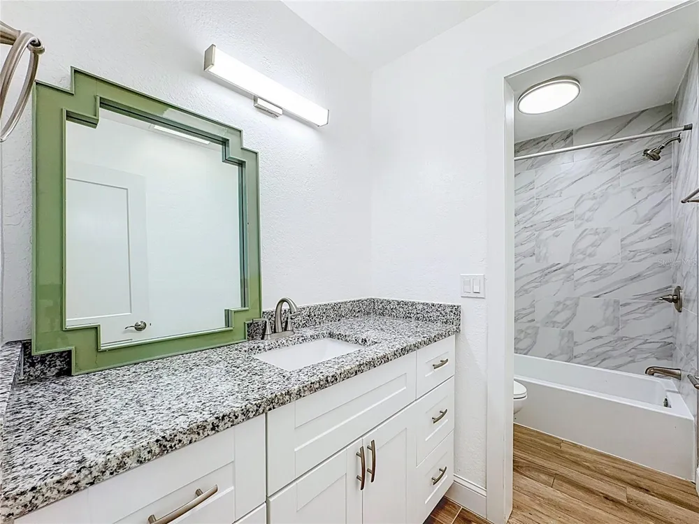 264 VAN GOGH CIRCLE Brandon, FL 33511