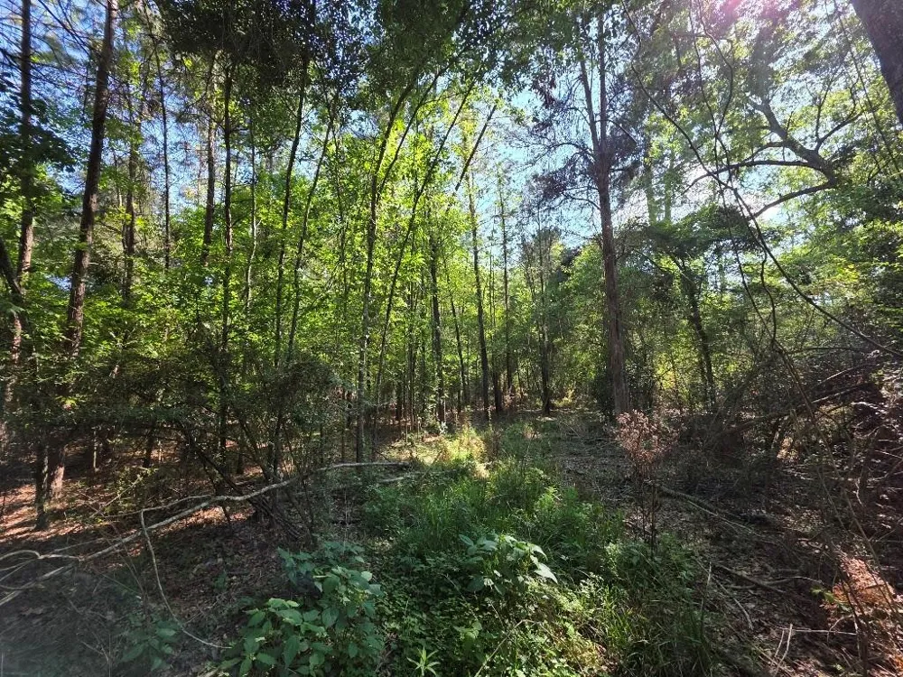 Farmcreek Drive Huffman, TX 77336