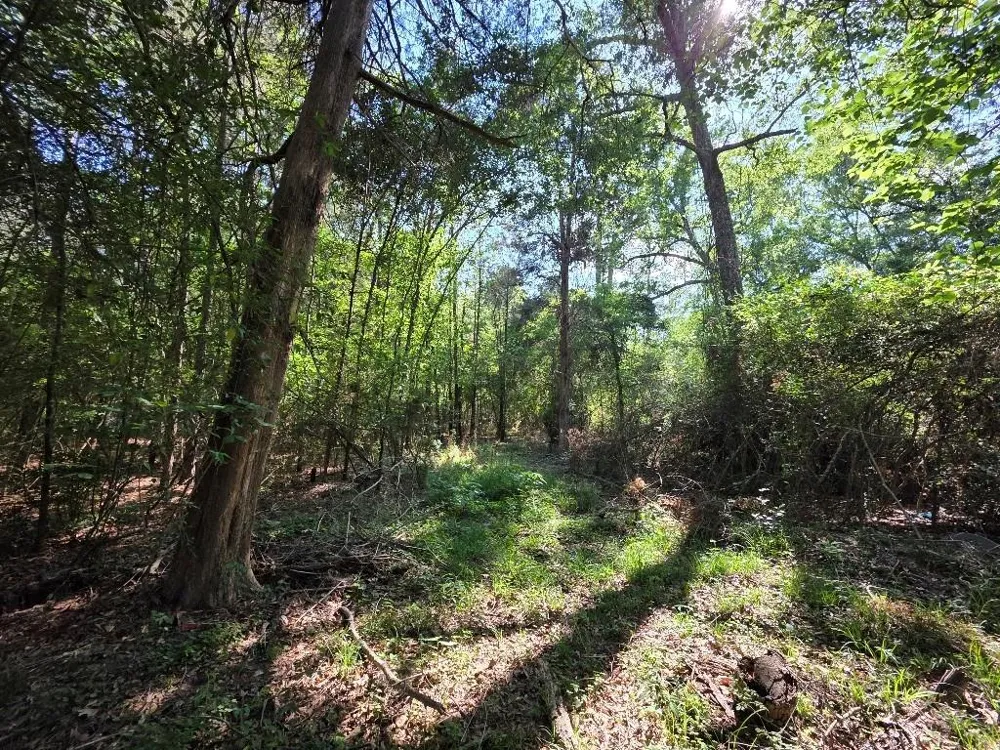 Farmcreek Drive Huffman, TX 77336