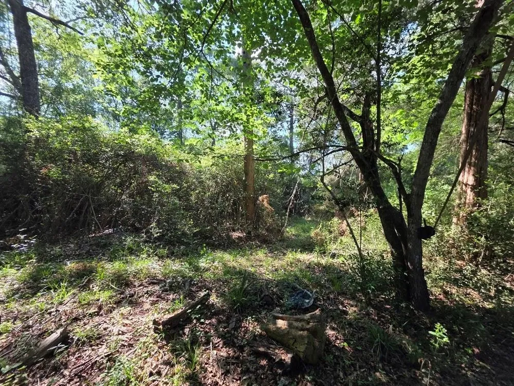 Farmcreek Drive Huffman, TX 77336