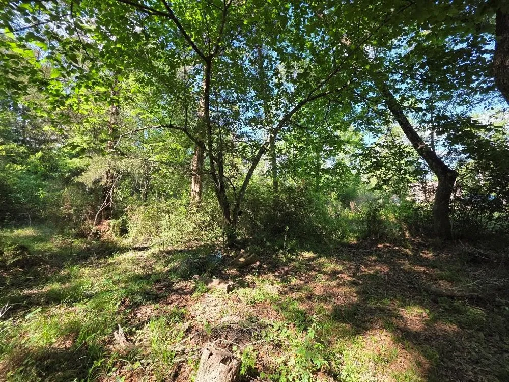 Farmcreek Drive Huffman, TX 77336