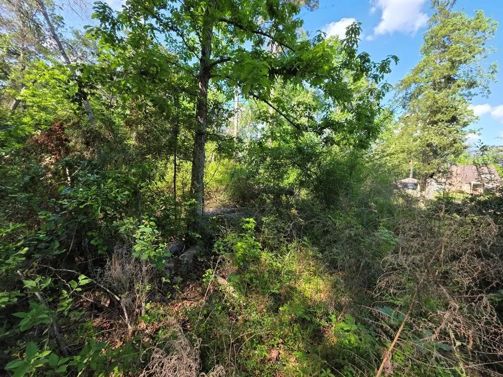 Farmcreek Drive Huffman, TX 77336