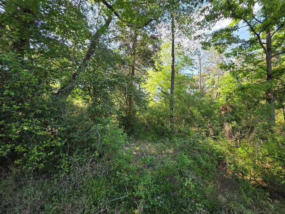 Farmcreek Drive Huffman, TX 77336