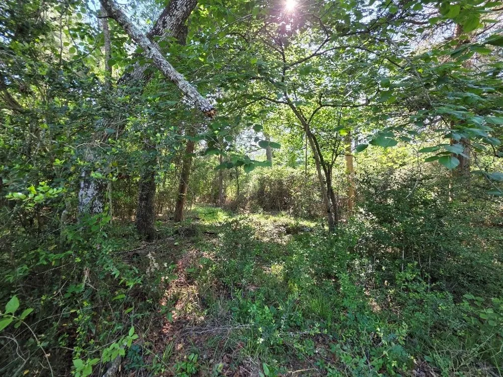 Farmcreek Drive Huffman, TX 77336