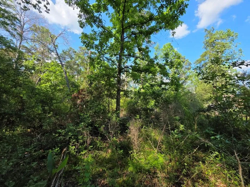 Farmcreek Drive Huffman, TX 77336