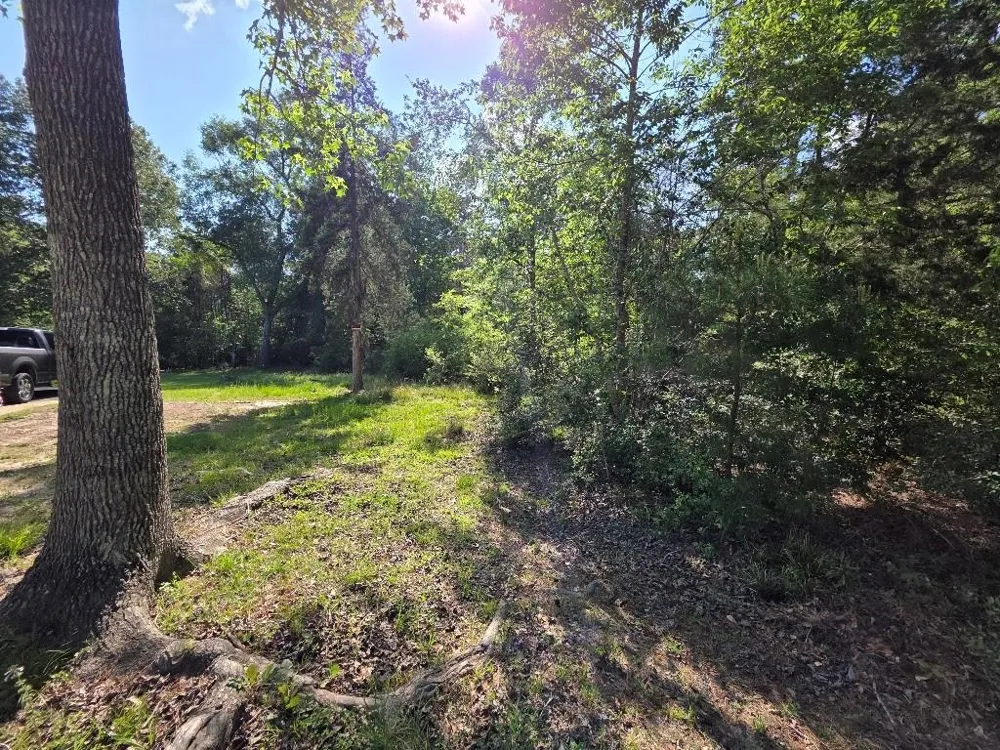 Farmcreek Drive Huffman, TX 77336