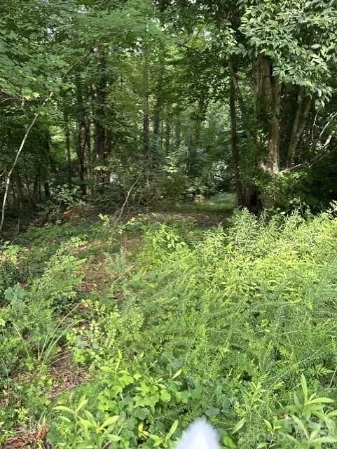 25 48th Avenue NE Hickory, NC 28601