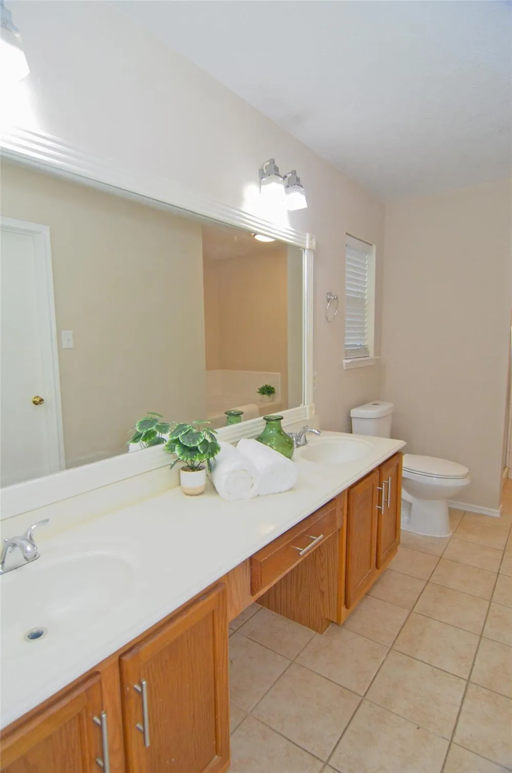 16915 Lighthouse View Drive Friendswood, TX 77546