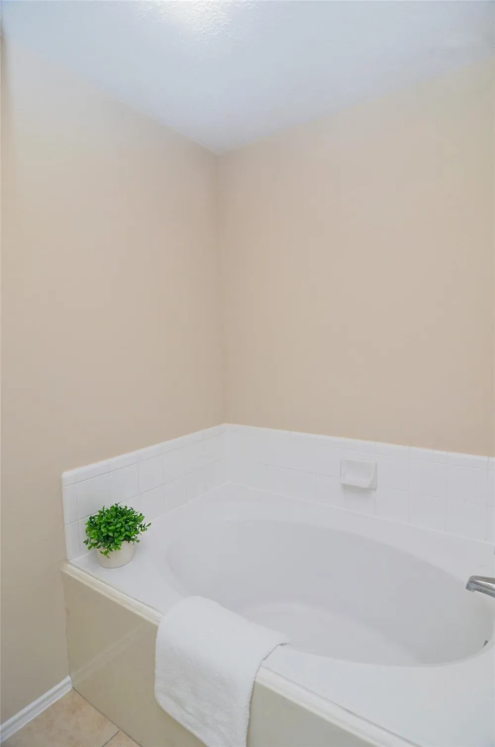 16915 Lighthouse View Drive Friendswood, TX 77546
