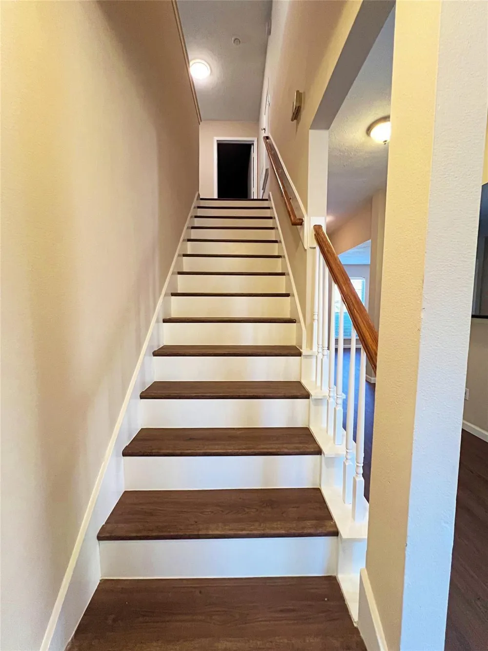 16915 Lighthouse View Drive Friendswood, TX 77546