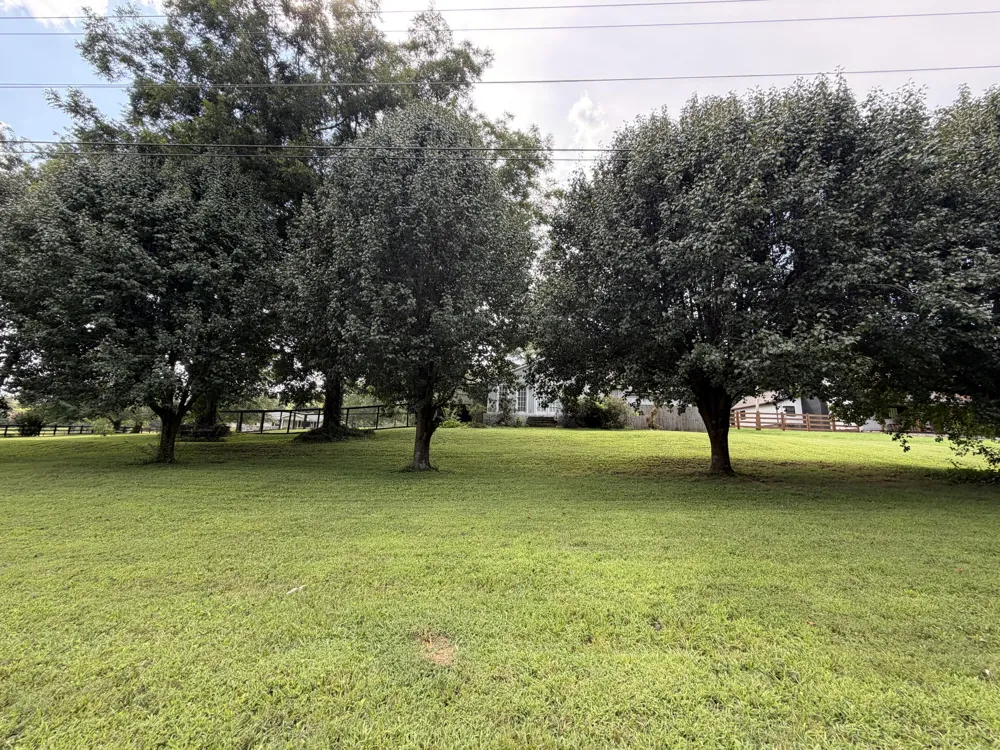 60 Mountain View Lane Ringgold, GA 30736