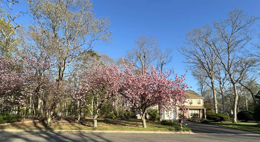 2 New Vernon Avenue Seaville, NJ 08230