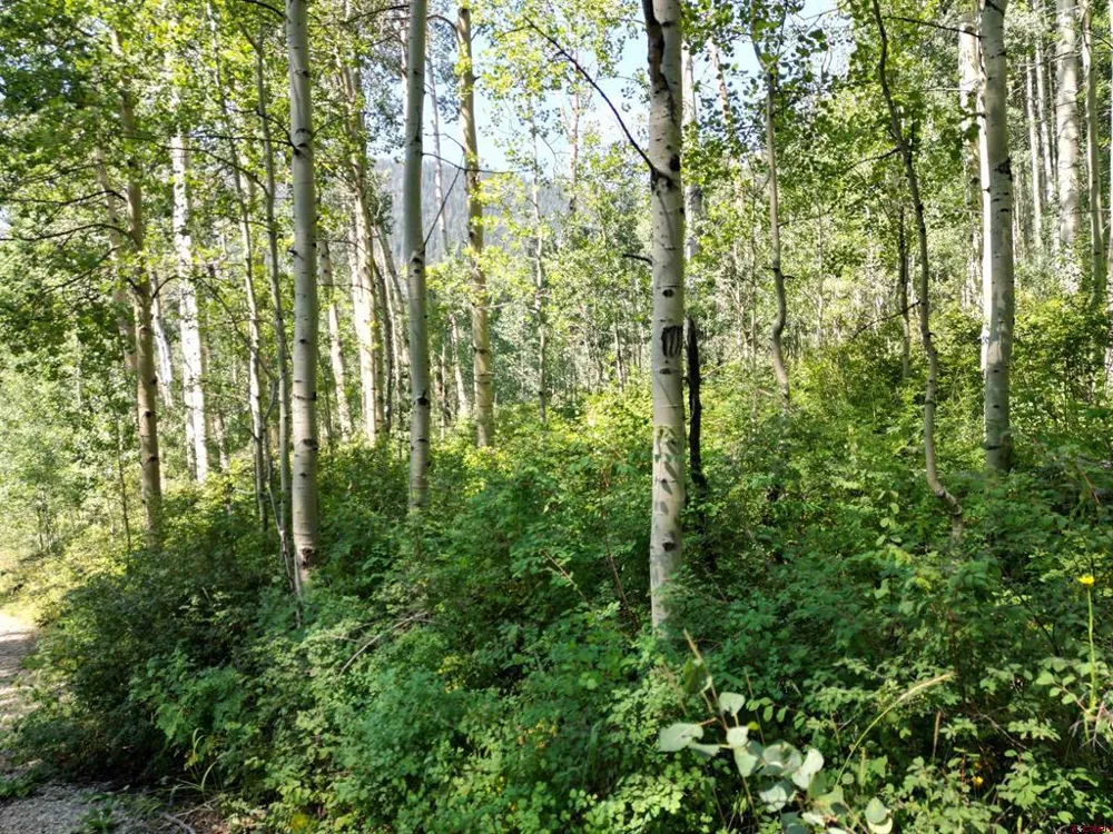 718 Hermosa Cliffs Road Durango, CO 81303