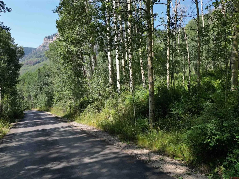 718 Hermosa Cliffs Road Durango, CO 81303