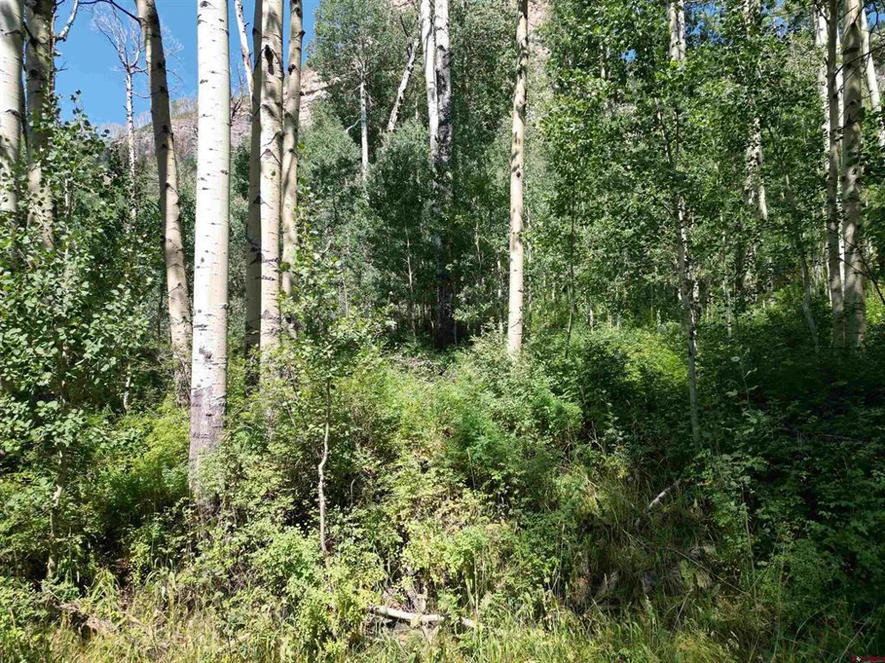 718 Hermosa Cliffs Road Durango, CO 81303