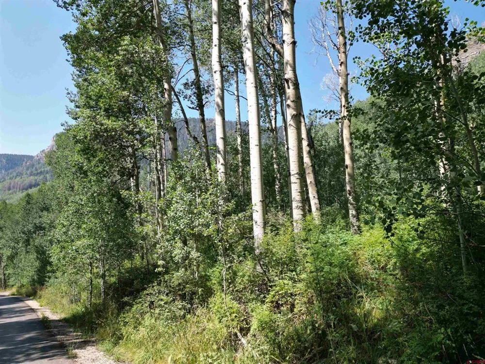 718 Hermosa Cliffs Road Durango, CO 81303