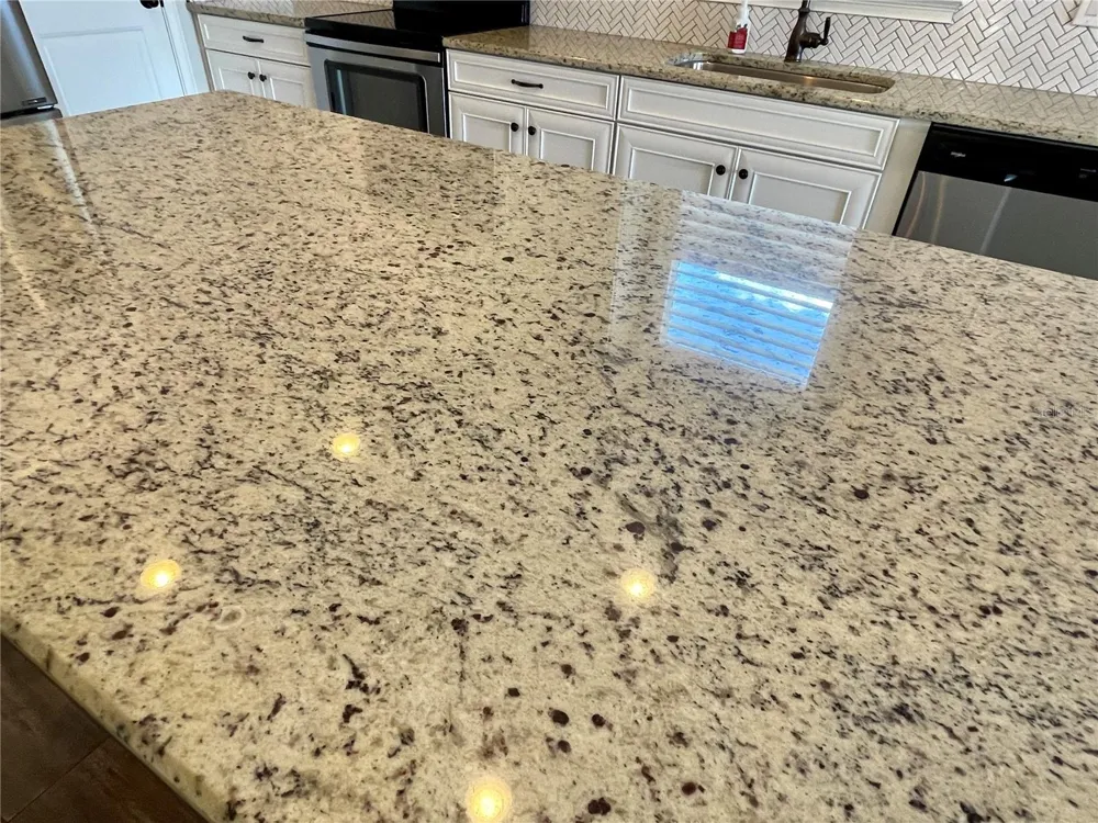 13205 ORCA SOUND DRIVE Riverview, FL 33579