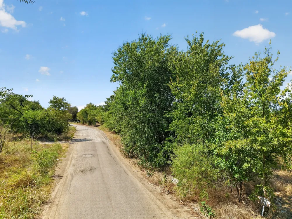 9784 Taylor Drive Quinlan, TX 75474