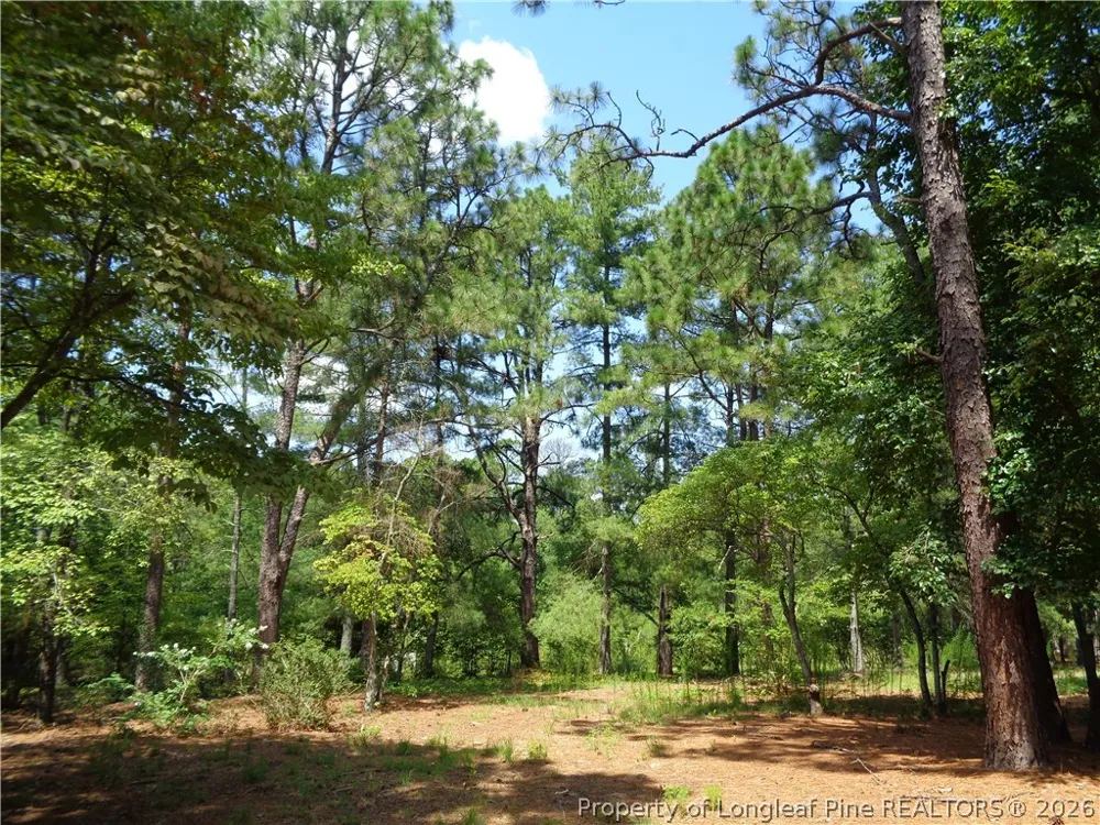 303 Archie Road West End, NC 27376