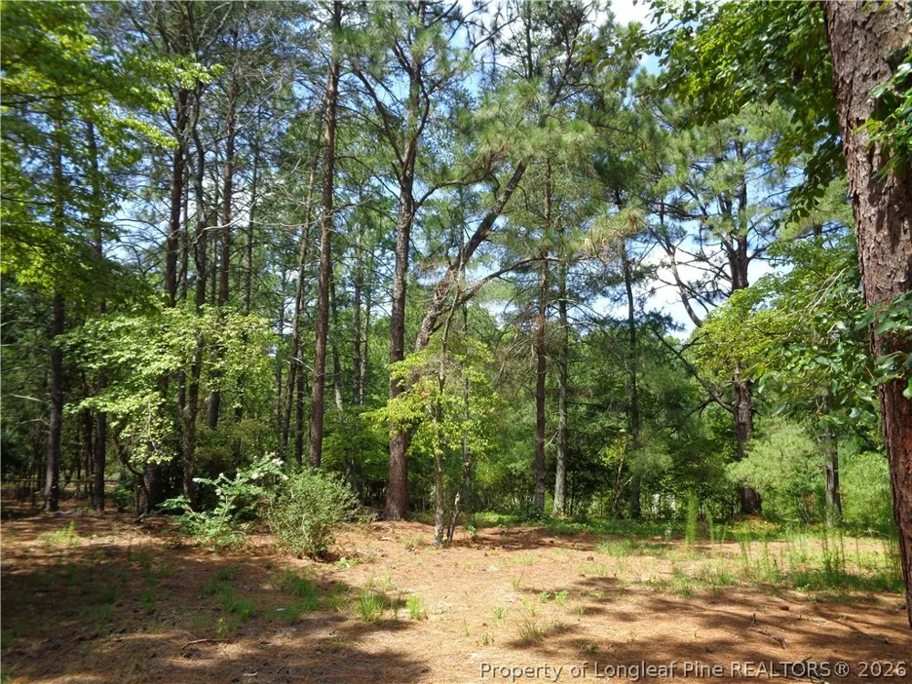 303 Archie Road West End, NC 27376
