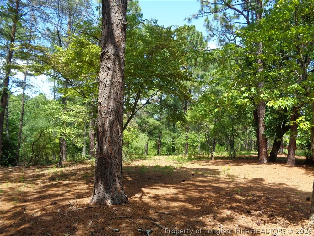 303 Archie Road West End, NC 27376