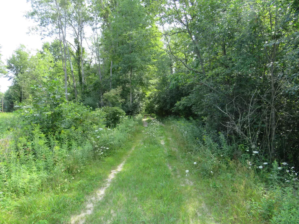 VL Meridian (M-30) Road Sanford, MI 48657