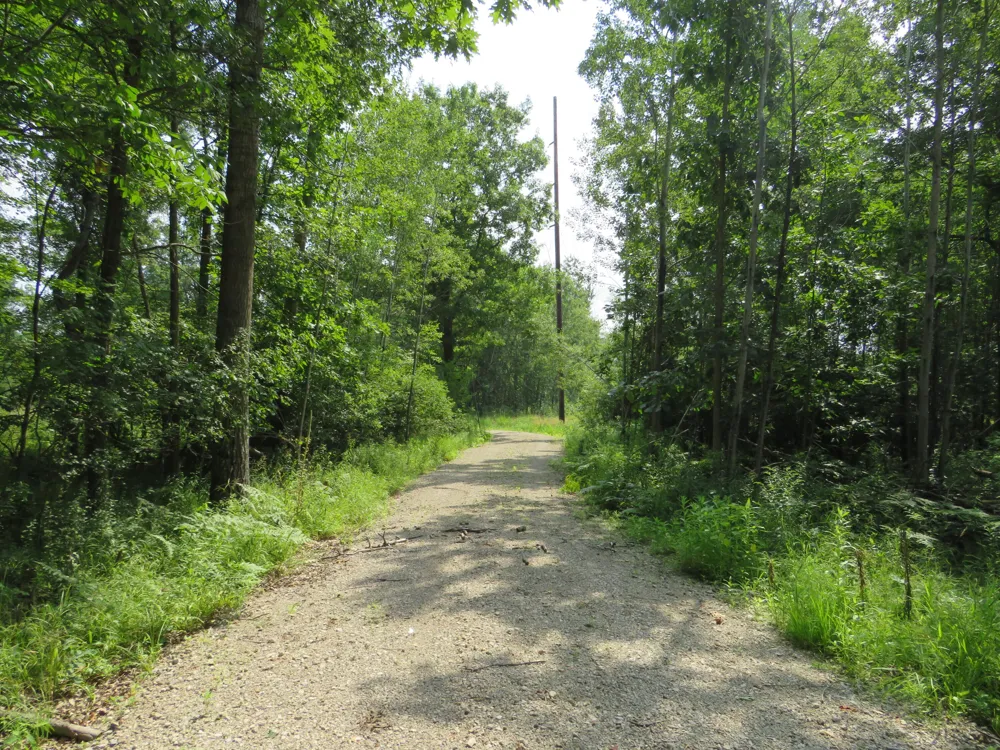 VL Meridian (M-30) Road Sanford, MI 48657