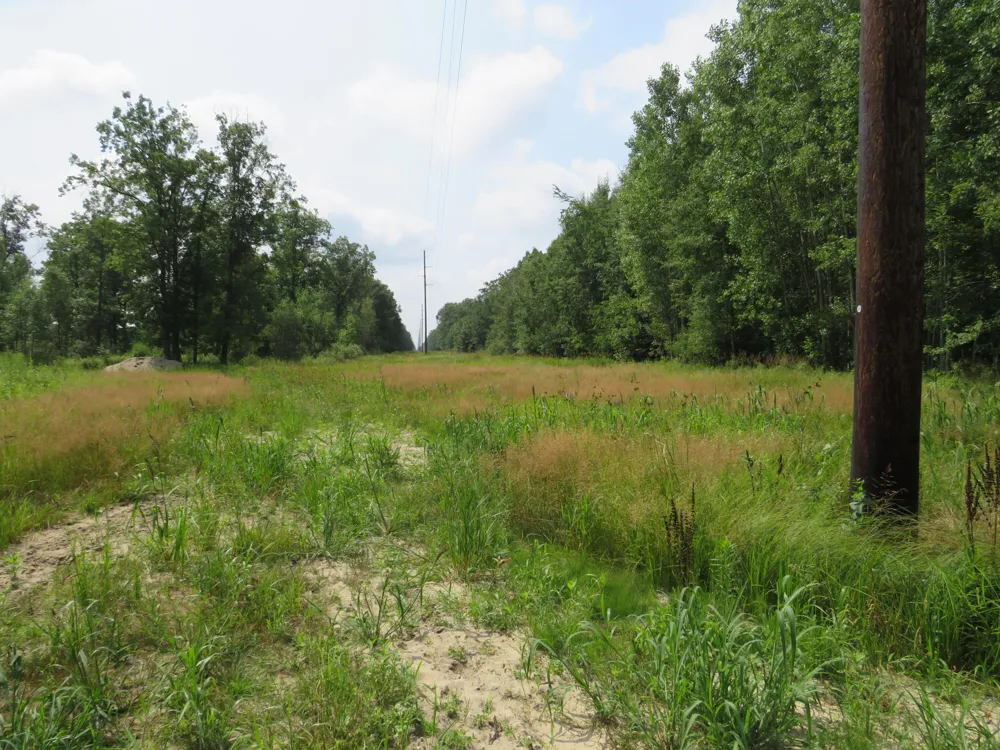 VL Meridian (M-30) Road Sanford, MI 48657
