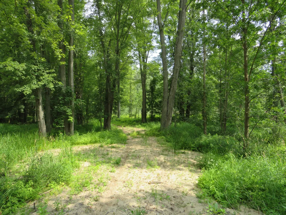 VL Meridian (M-30) Road Sanford, MI 48657