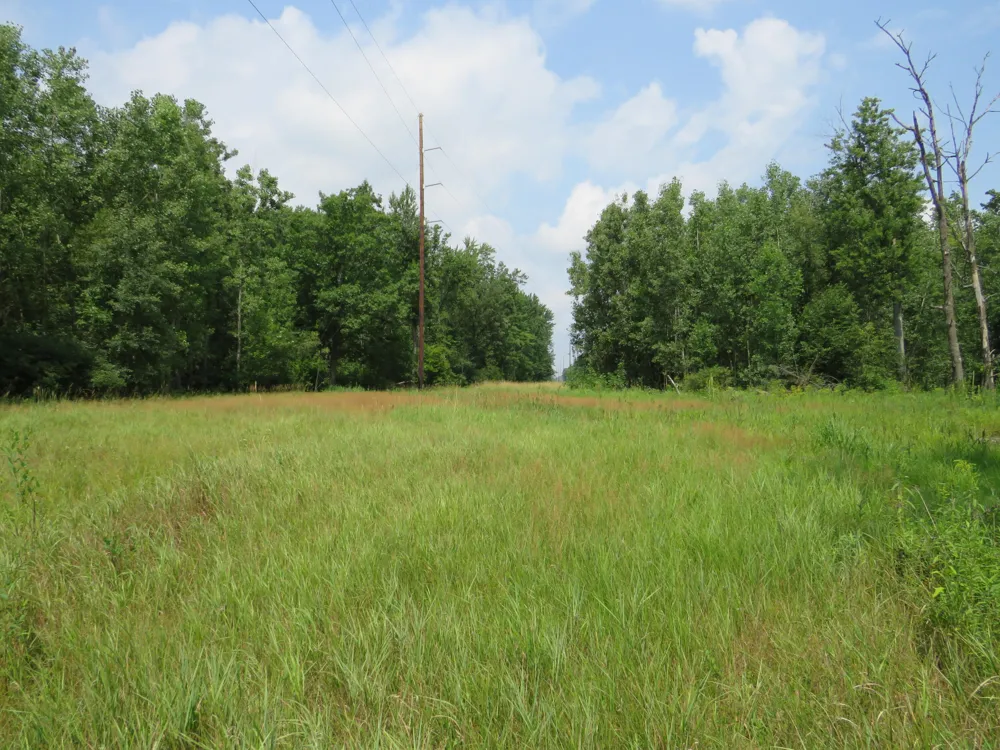 VL Meridian (M-30) Road Sanford, MI 48657