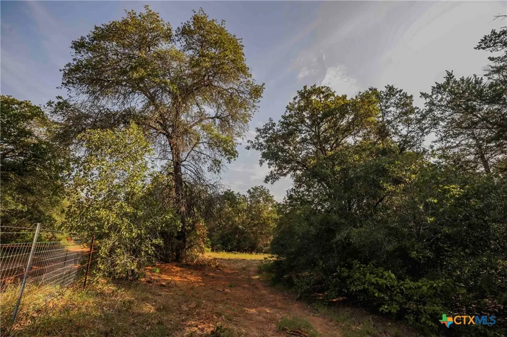 Stiewert Lane Paige, TX 78659