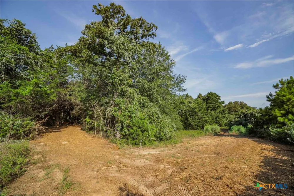 Stiewert Lane Paige, TX 78659