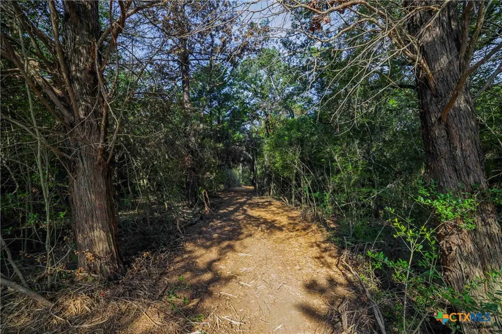 Stiewert Lane Paige, TX 78659