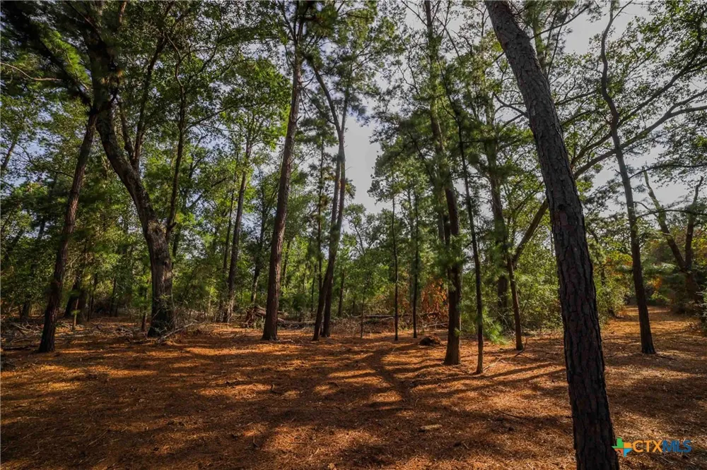 Stiewert Lane Paige, TX 78659
