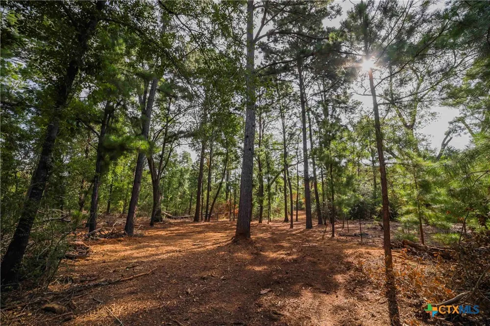 Stiewert Lane Paige, TX 78659
