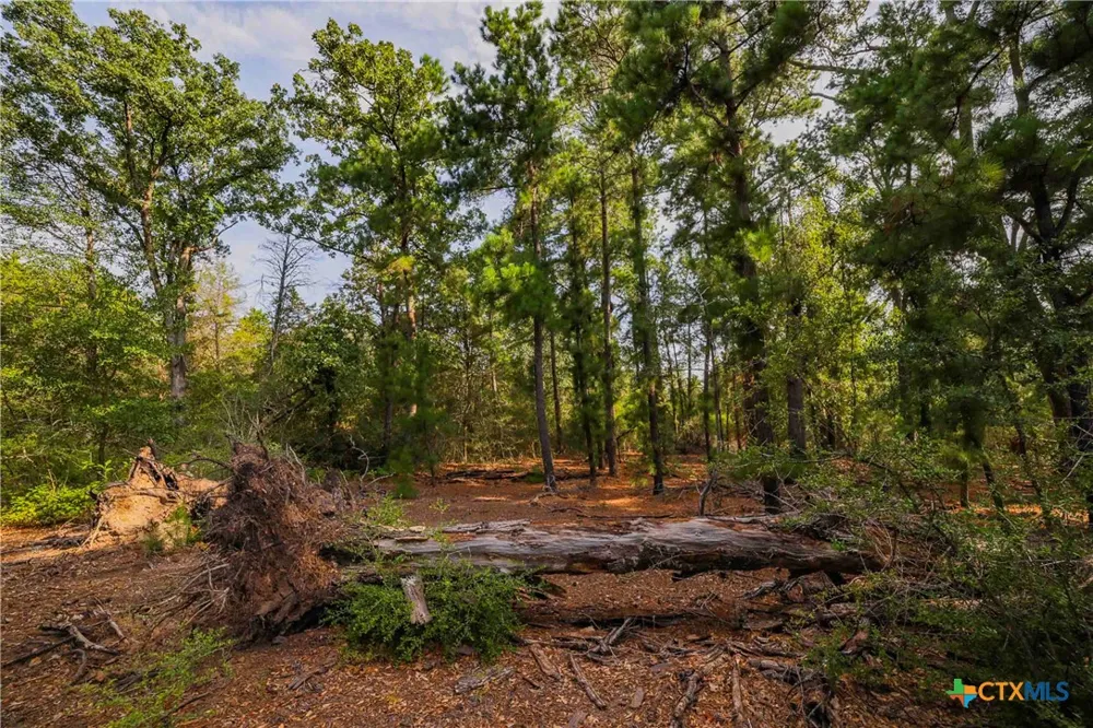 Stiewert Lane Paige, TX 78659