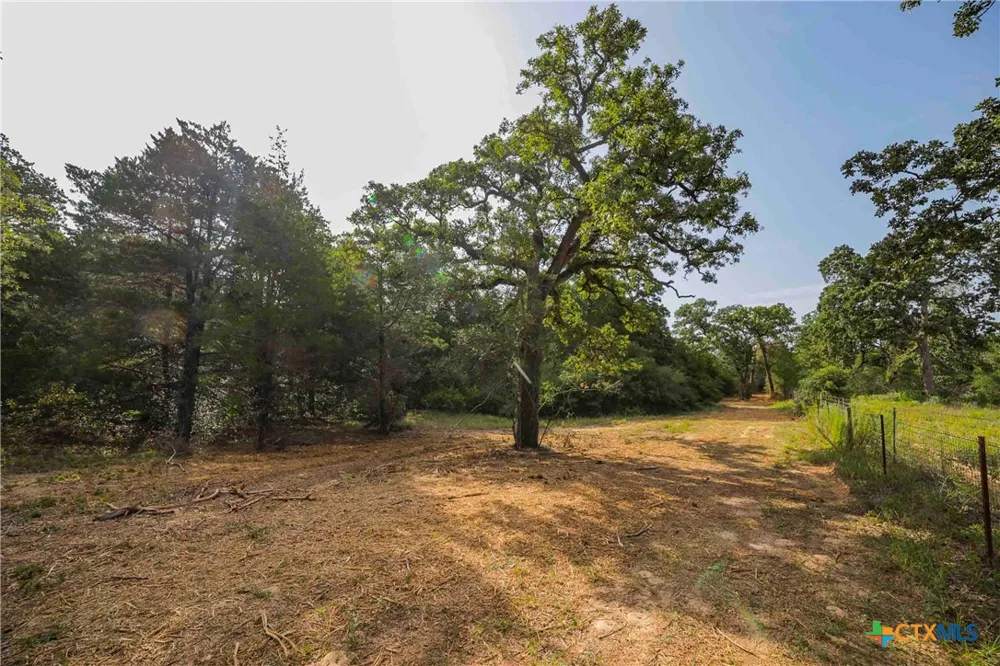 Stiewert Lane Paige, TX 78659