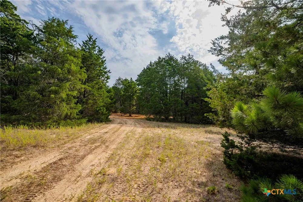 Stiewert Lane Paige, TX 78659