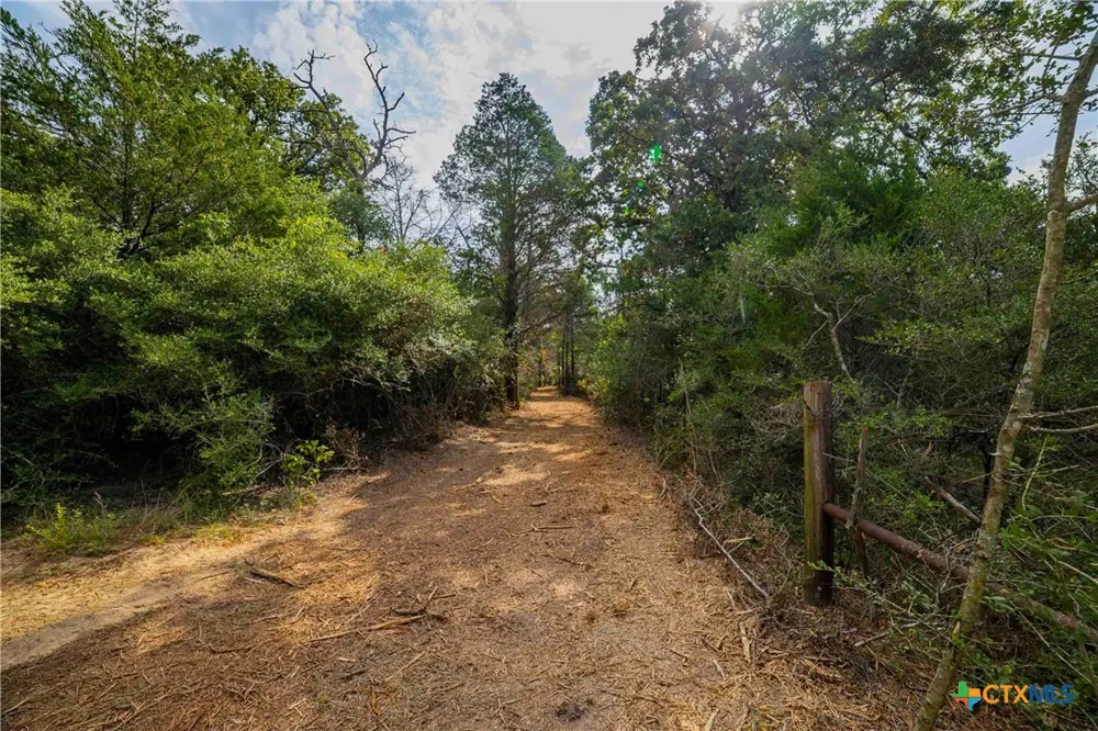 Stiewert Lane Paige, TX 78659