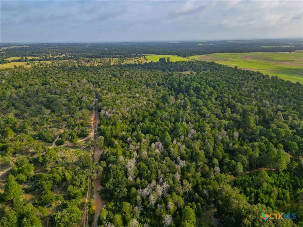 Stiewert Lane Paige, TX 78659