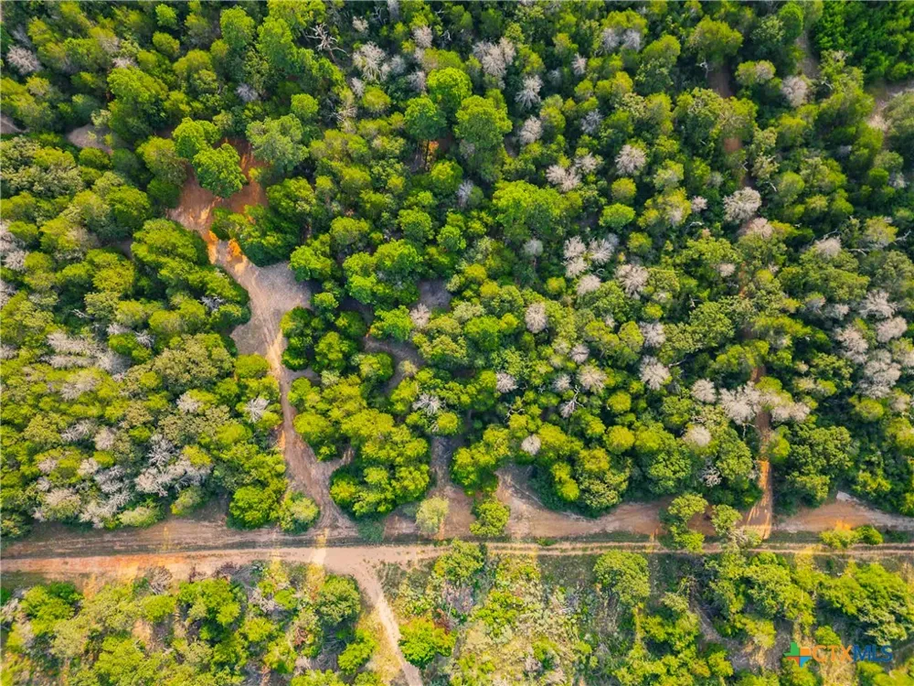 Stiewert Lane Paige, TX 78659