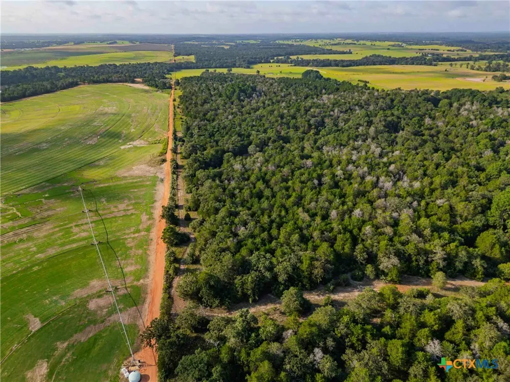 Stiewert Lane Paige, TX 78659