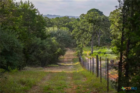 Stiewert Lane